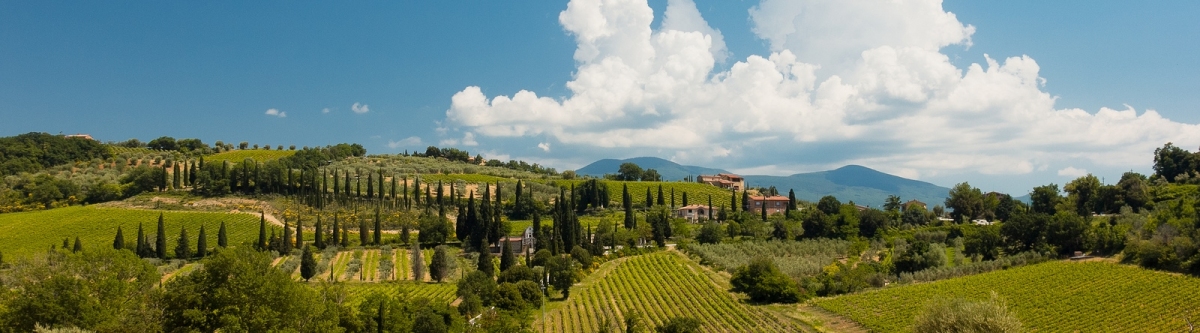 Sant Antimo, Tuscany, Italy (heipei)  [flickr.com]  CC BY-SA 
Información sobre la licencia en 'Verificación de las fuentes de la imagen'