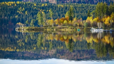 Schluchsee in autumn - Black Forrest, Germany (Manuel Paul)  [flickr.com]  CC BY-ND 
Información sobre la licencia en 'Verificación de las fuentes de la imagen'