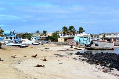 Ship aground on the beach of of Puerto Baquerizo Moreno on San Cristobal Island in the Galapagos Islands (John Solaro (sooolaro))  [flickr.com]  CC BY-ND 
Información sobre la licencia en 'Verificación de las fuentes de la imagen'