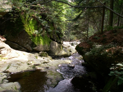 Spiegelau torrent (A3X)  [flickr.com]  CC BY-SA 
Información sobre la licencia en 'Verificación de las fuentes de la imagen'