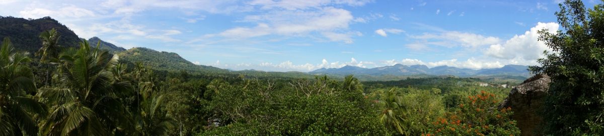 Sri Lanka Tree Top panorama (Malcolm Browne)  [flickr.com]  CC BY-ND 
Información sobre la licencia en 'Verificación de las fuentes de la imagen'