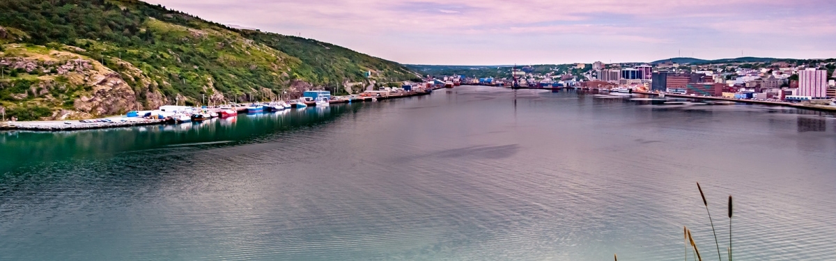 St John Harbour Newfoundland (Michel Rathwell)  [flickr.com]  CC BY 
Información sobre la licencia en 'Verificación de las fuentes de la imagen'