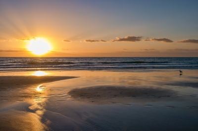 Qué hacer en Fuerteventura