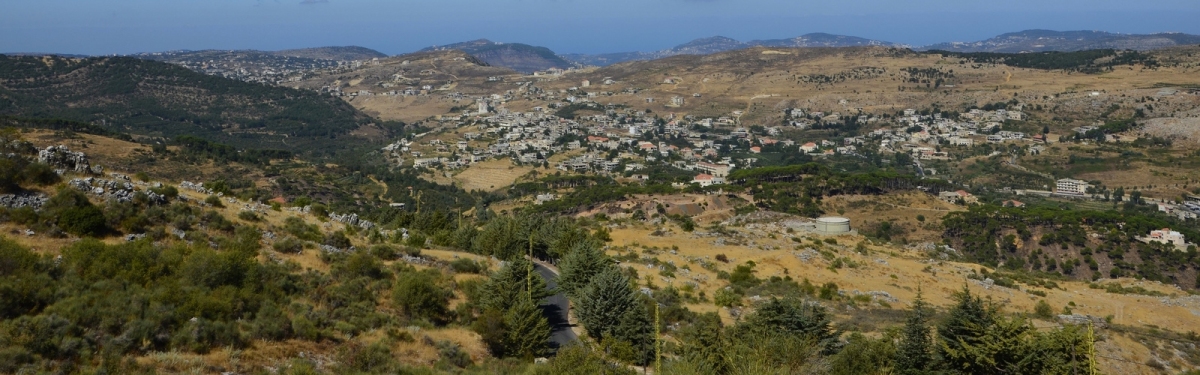 The Chouf Reserve, Lebanon (objectivised)  [flickr.com]  CC BY 
Información sobre la licencia en 'Verificación de las fuentes de la imagen'