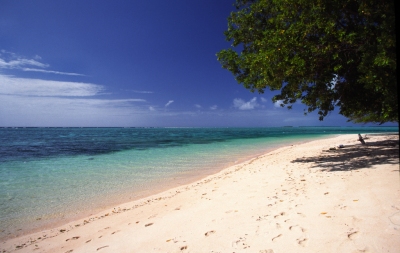 The Marshall Islands - Majuro - Laura Beach #4 (Stefan Lins)  [flickr.com]  CC BY 
Información sobre la licencia en 'Verificación de las fuentes de la imagen'