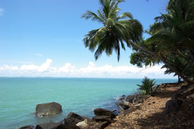 The shore and the coconut trees (Antoine Hubert)  [flickr.com]  CC BY-ND 
Información sobre la licencia en 'Verificación de las fuentes de la imagen'