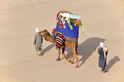 Tunisia-4483 - Camel with a Howdah (Dennis Jarvis)  [flickr.com]  CC BY-SA 
Información sobre la licencia en 'Verificación de las fuentes de la imagen'