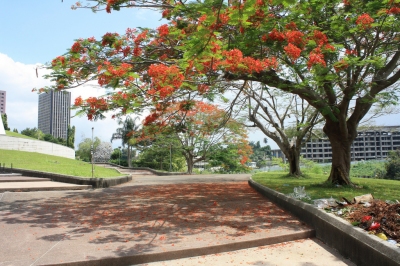 Información climática de Costa de Marfil