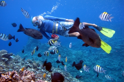 Vanuatu Scuba Diving (Roderick Eime)  [flickr.com]  CC BY 
Información sobre la licencia en 'Verificación de las fuentes de la imagen'