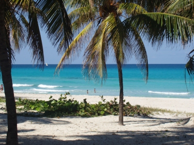 Varadero beach (poo dog)  [flickr.com]  CC BY-ND 
Información sobre la licencia en 'Verificación de las fuentes de la imagen'