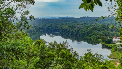 View of the Suriname river from the Blauwe Berg, or Blue Mountain, on the former Berg en Dal plantation (-JvL-)  [flickr.com]  CC BY 
Información sobre la licencia en 'Verificación de las fuentes de la imagen'