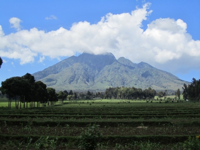 Preestreno: Mejor época para viajar a Ruanda