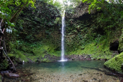 Wall to wall waterfall on Dominica (Chris Favero)  [flickr.com]  CC BY-SA 
Información sobre la licencia en 'Verificación de las fuentes de la imagen'